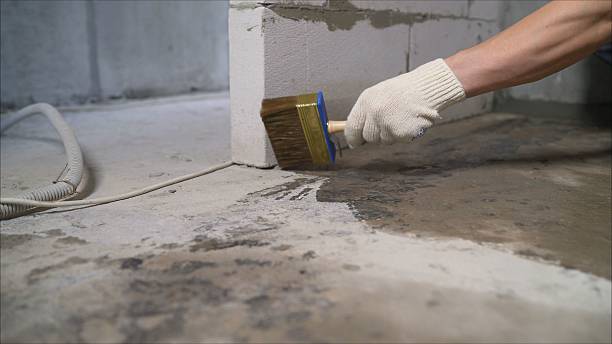 24/7 Emergency Wet Basement Repair experts in Elkwood, VA